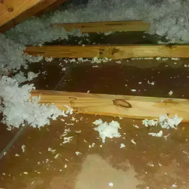 Attic Water Damage in Leon Valley, TX